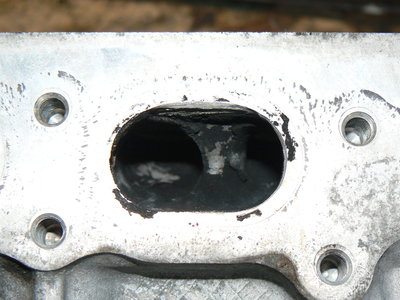 P1090001.JPG