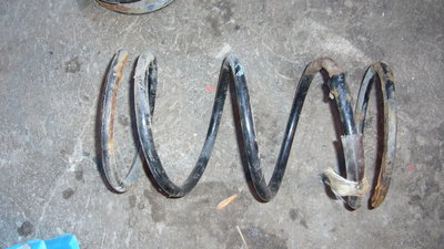 P1100236.JPG