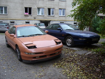 P1100580.JPG
