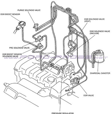 VRIS-20-big.jpg