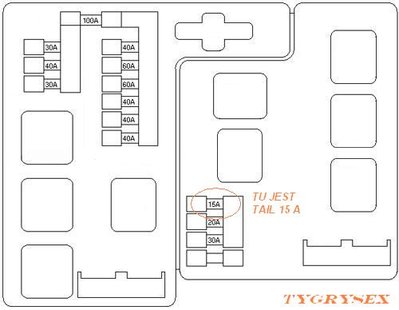 bezpieczniki FUSE BOX by TYGRYSEX.JPG